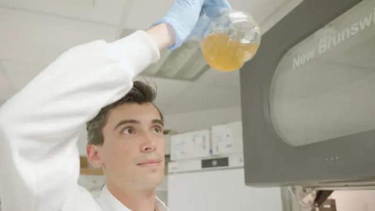 Νέα μέθοδος παραγωγής φαρμάκων μετατρέπει τα πλαστικά απόβλητα σε παρακεταμόλη μέσα σε ώρες